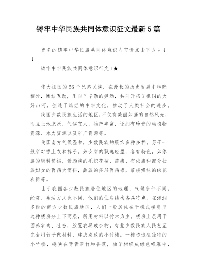 铸牢中华民族共同体意识征文最新5篇.docx