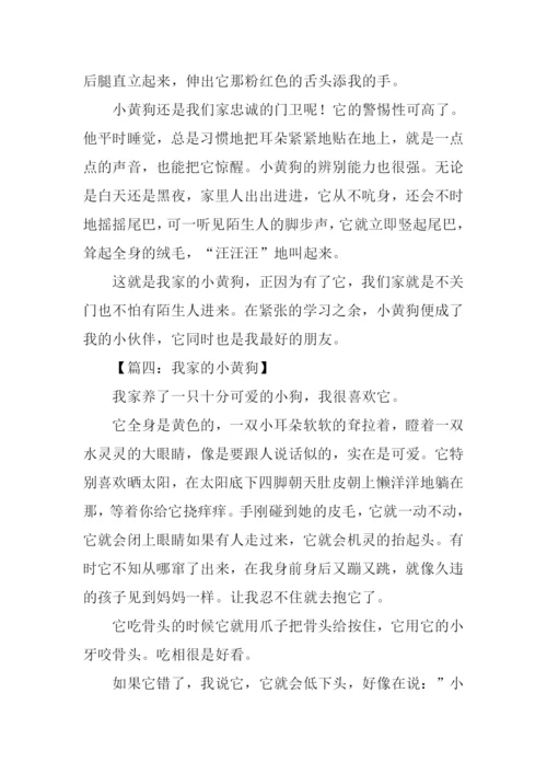 我家的小黄狗作文.docx