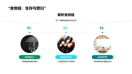 生态环境：平衡与保护
