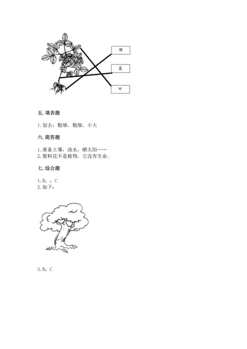 教科版科学一年级上册第一单元《植物》测试卷带答案（a卷）.docx