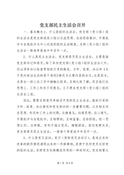 党支部民主生活会召开.docx