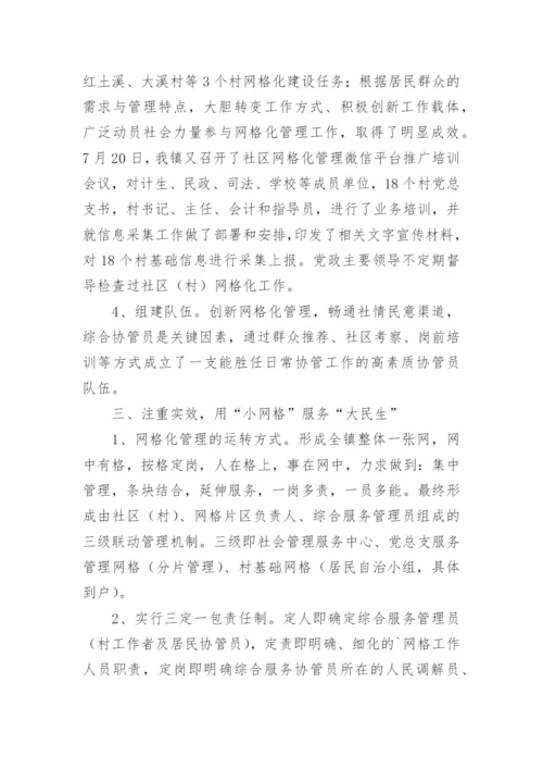 乡镇网格化管理工作情况总结.docx