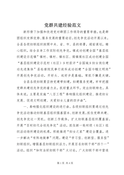 党群共建经验范文.docx