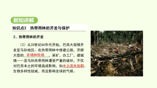 10.2.2 热带雨林的开发与保护（课件31张）-2024-2025学年七年级地理下学期人教版(20