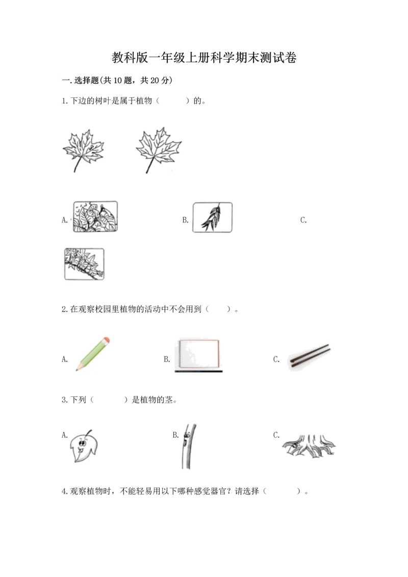 教科版一年级上册科学期末测试卷精品（基础题）.docx