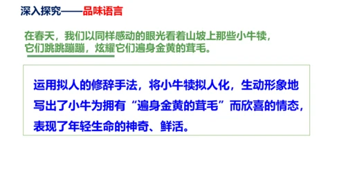 第16课《永久的生命》同步课件