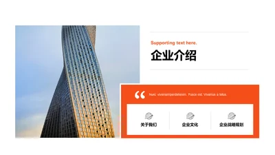 单色扁平3项企业介绍