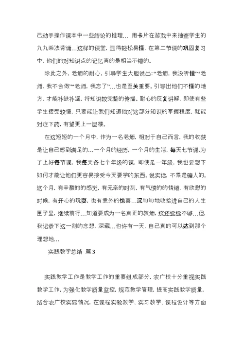 必备实践教学总结三篇