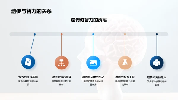 智力揭秘与提升