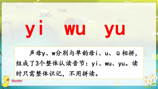 汉语拼音2  i  u  ü  y  w 课件