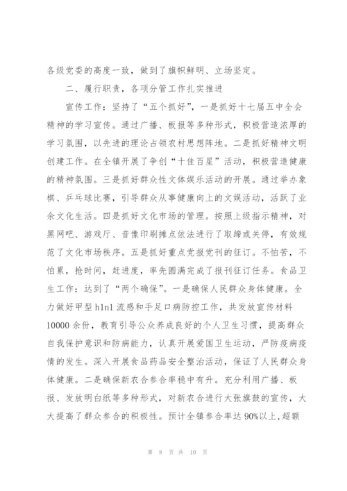 宣传委员个人的述职报告范文.docx