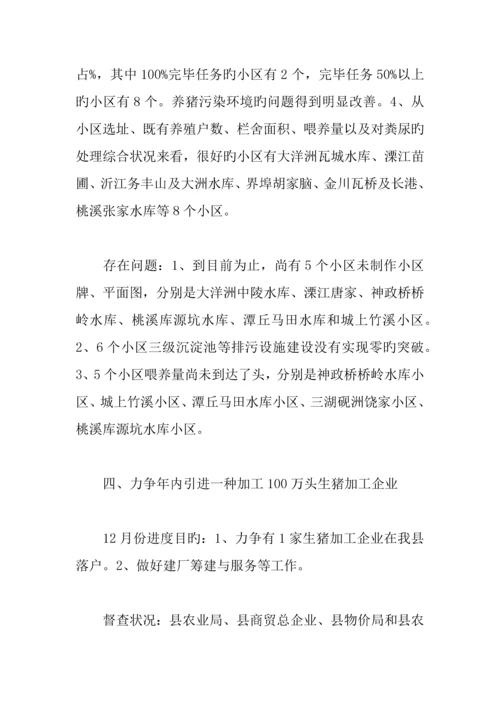 全县重点产业项目督查情况汇报.docx