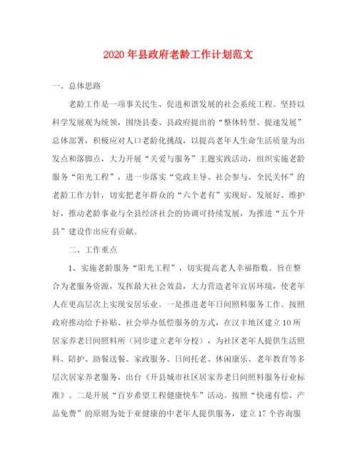 精编之年县政府老龄工作计划范文.docx