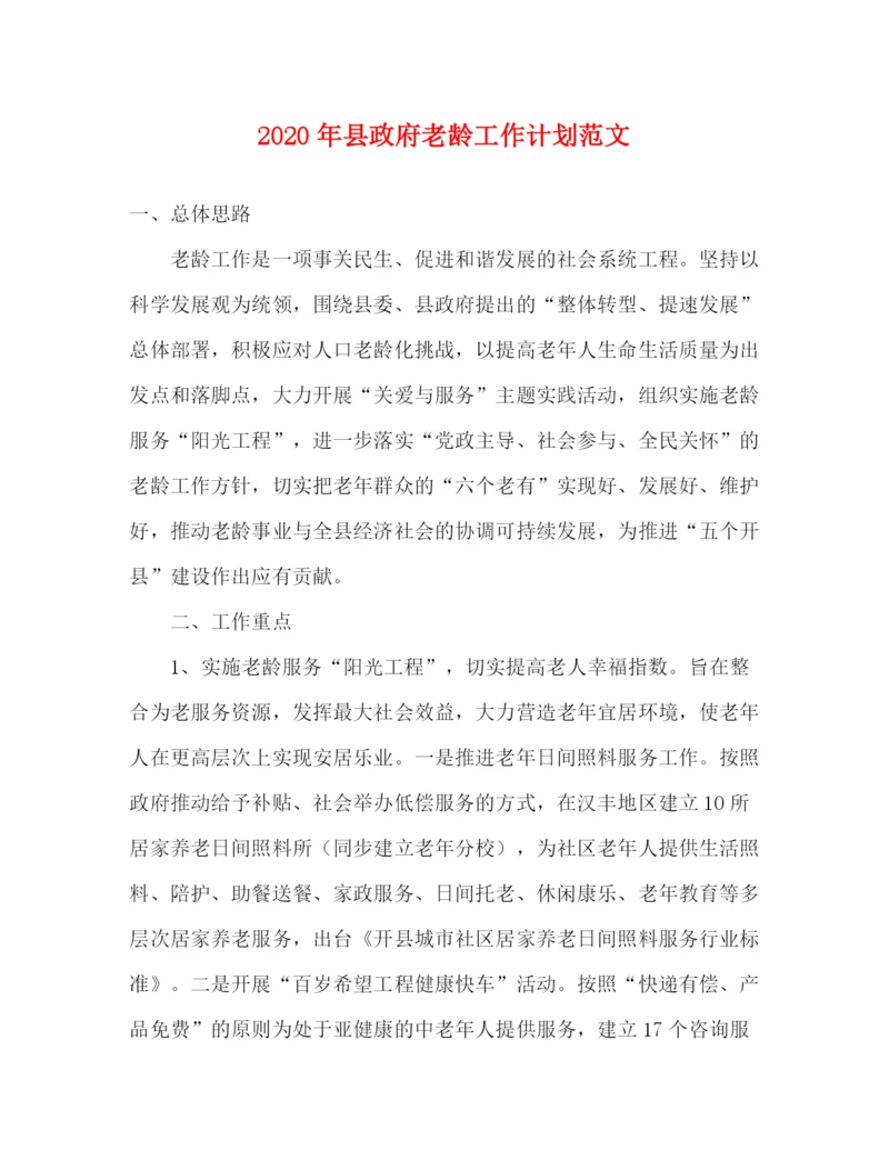 精编之年县政府老龄工作计划范文.docx