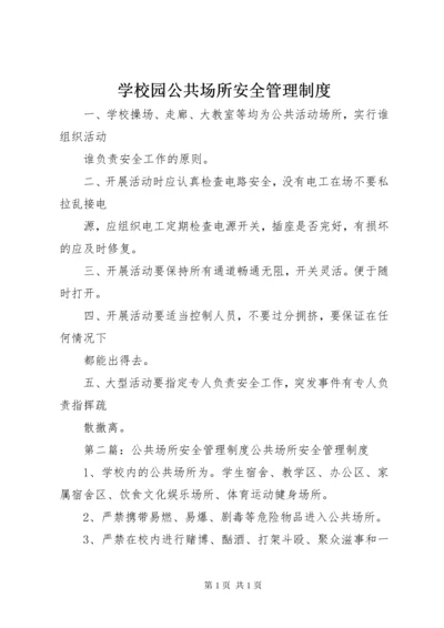 学校园公共场所安全管理制度.docx