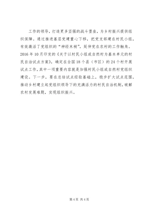 如何把乡村振兴战略落到实处之我见.docx