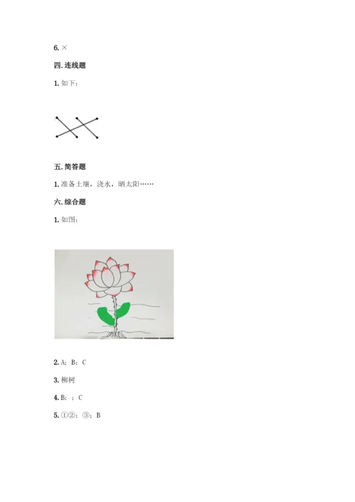 教科版科学一年级上册第一单元 植物 测试卷精品【精选题】.docx