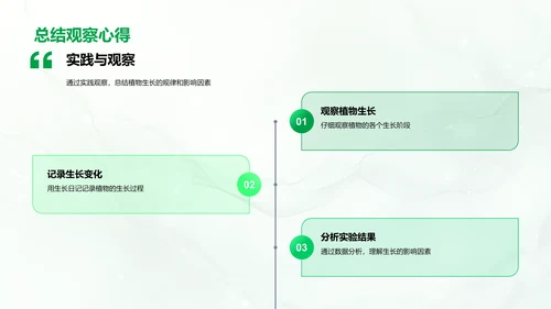 植物生长原理PPT模板