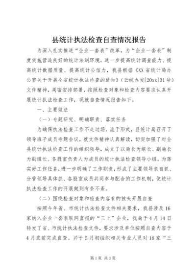 县统计执法检查自查情况报告.docx