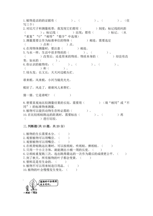 教科版小学一年级上册科学期末测试卷含答案（夺分金卷）.docx