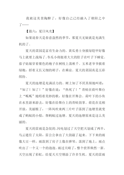 夏日的风景作文600字.docx