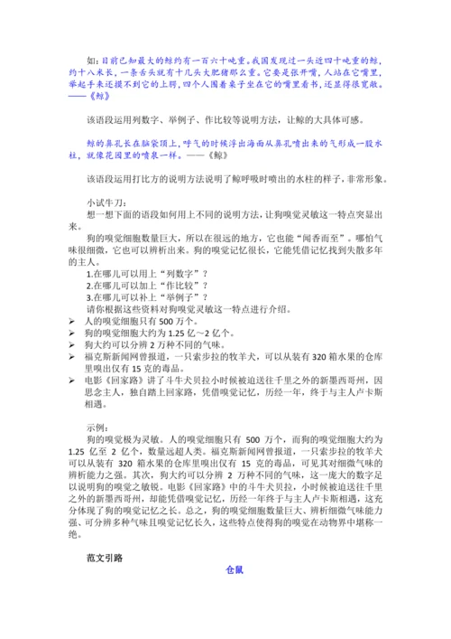 统编版2024-2025学年语文五年级上册第五单元习作指导介绍一种事物（讲义）