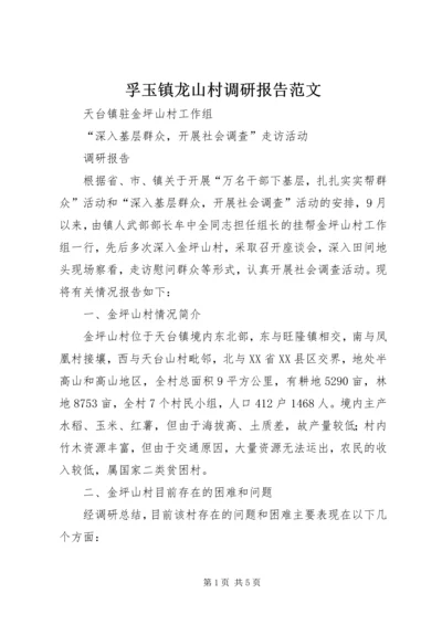 孚玉镇龙山村调研报告范文 (2).docx