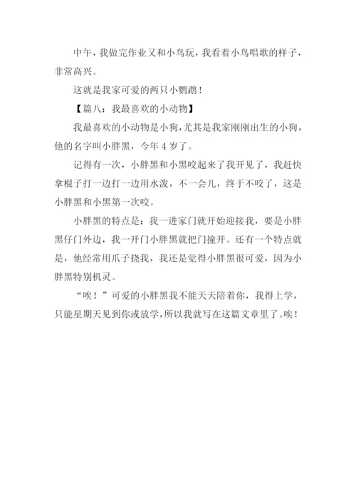 小动物的作文100字.docx