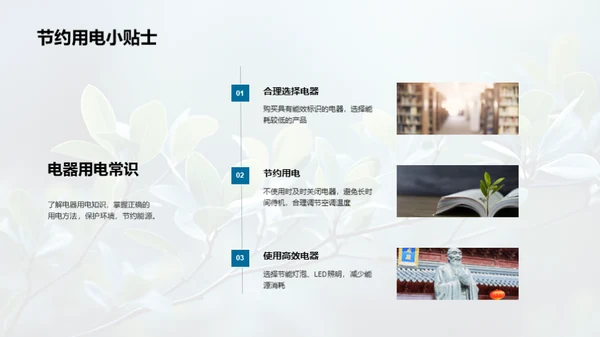 小暑生态教育实践
