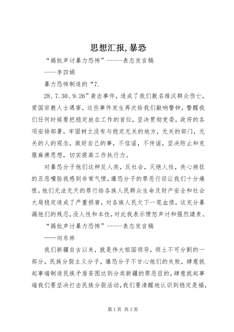 思想汇报,暴恐 (4).docx