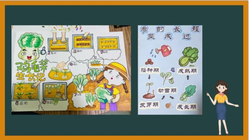 统编版语文四年级上册 第三单元习作：  写观察日记课件