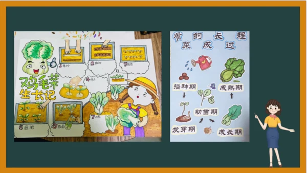 统编版语文四年级上册 第三单元习作：  写观察日记课件