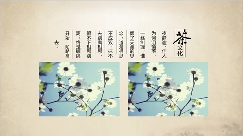 古典大气中国中国茶文化ppt动态模板
