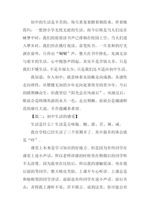 初中生活的感受作文.docx