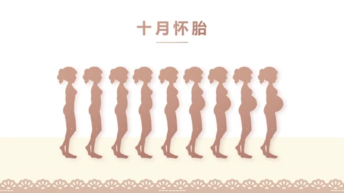 母婴婴儿护理中心医院社区讲座PPT