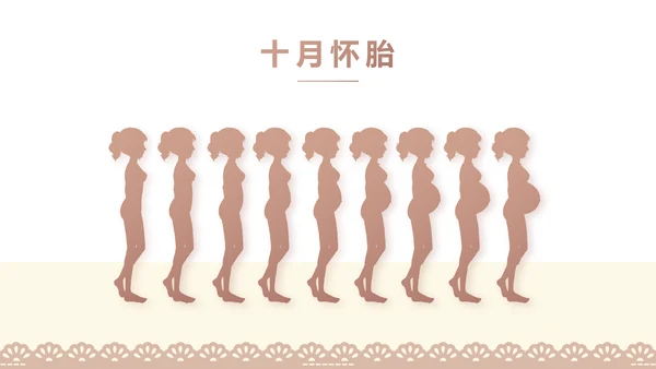 母婴婴儿护理中心医院社区讲座PPT