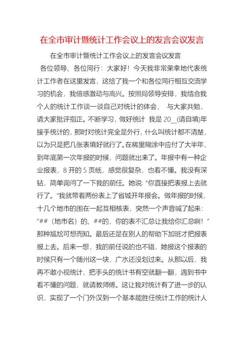 在全市审计暨统计工作会议上的发言会议发言