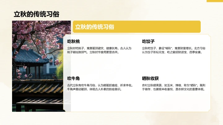 二十四节气立秋PPT模板