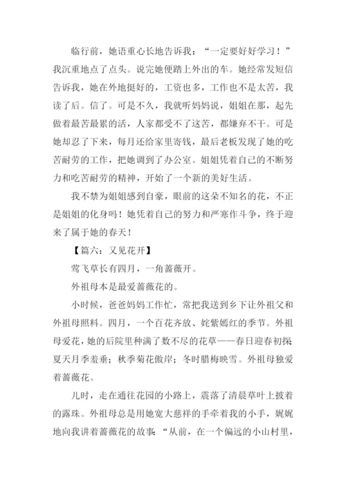 又见花开时作文.docx