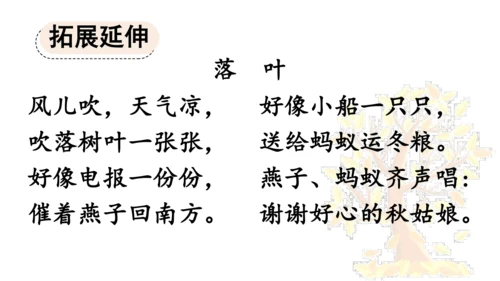 5 铺满金色巴掌的水泥道