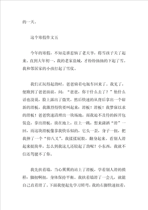 这个寒假作文300字