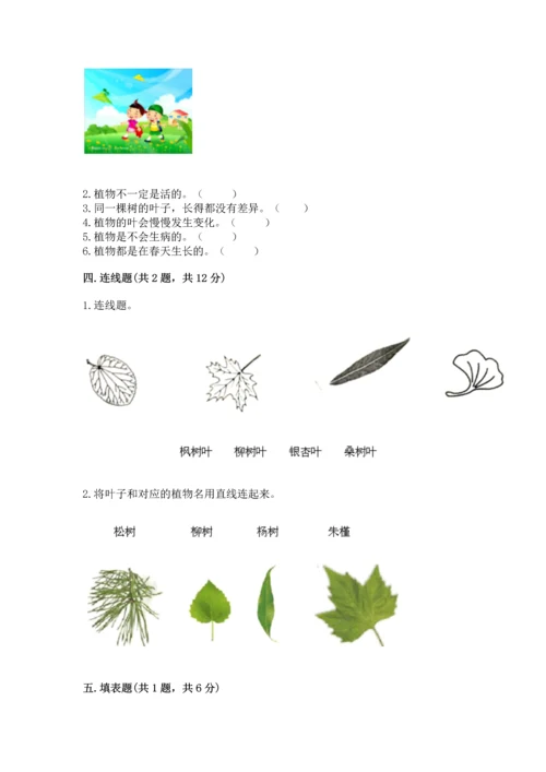 教科版科学一年级上册第一单元《植物》测试卷精品（考试直接用）.docx