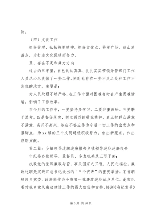 乡镇领导述职述廉报告.docx