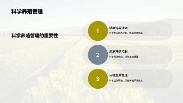 生态养殖的重要性