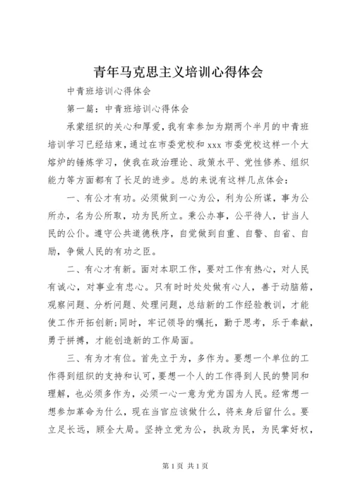 青年马克思主义培训心得体会.docx