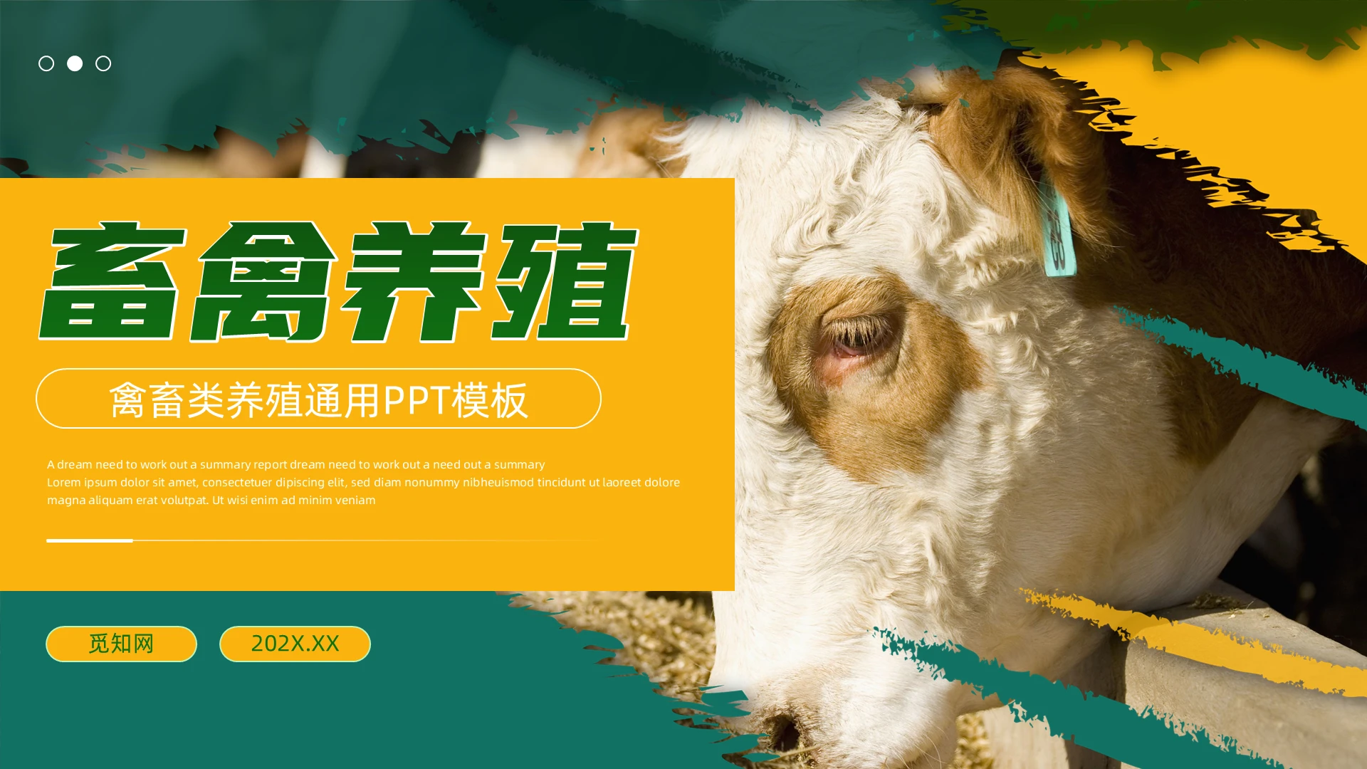 绿色黄色简约养殖业通用PPT模板