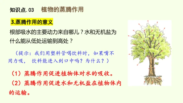 3.2.1水的利用与散失-七年级生物下学期同步精品课件（2024人教版）(共32张PPT)