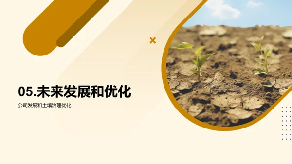 翻新蓝图：净化之道