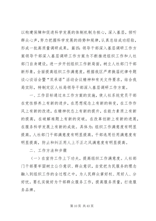 领导调研活动方案.docx