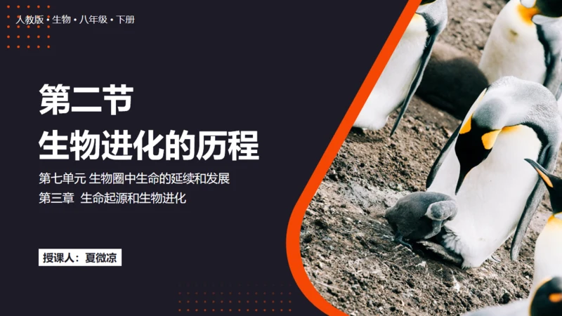 生命起源和生物进化企鹅通用PPT模板